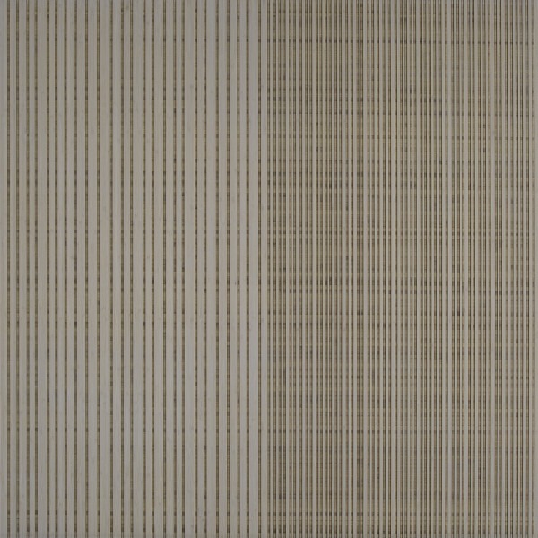 CSM06- Fog